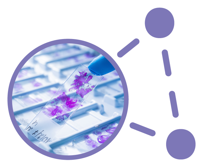 Clinical-Histopathology