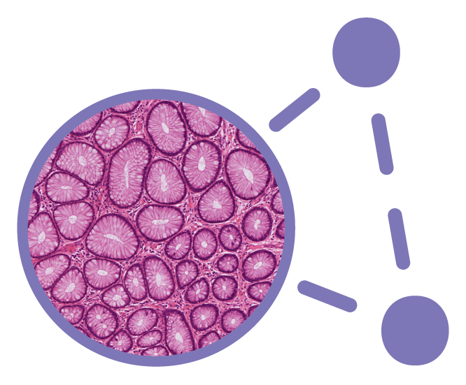 Platform-Sample-Cells