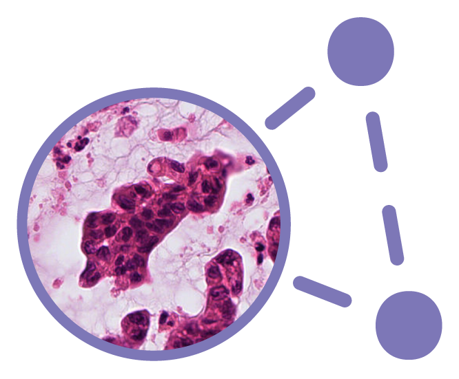 Platform-Sample-Cells2