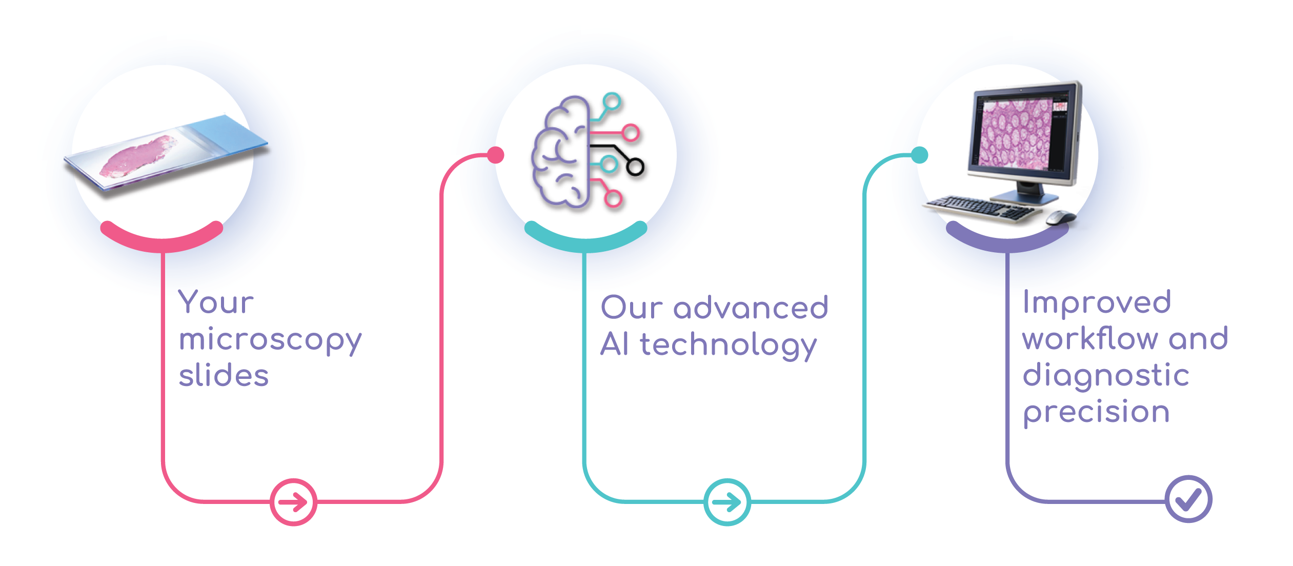 Openpatho-AI-Platform-Workflow-Desktop Openpatho-AI-Platform-Workflow-Desktop