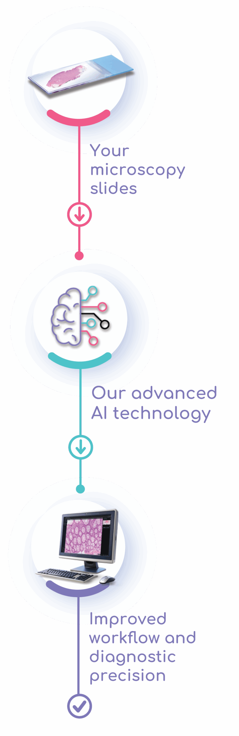 Openpatho-AI-Platform-Workflow-Mobile-Responsive Openpatho-AI-Platform-Workflow-Mobile-Responsive