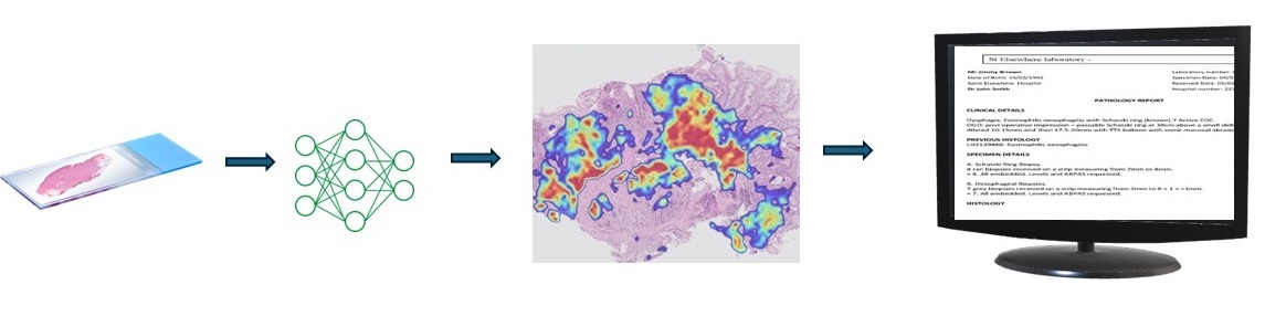 Openpatho Colorectal