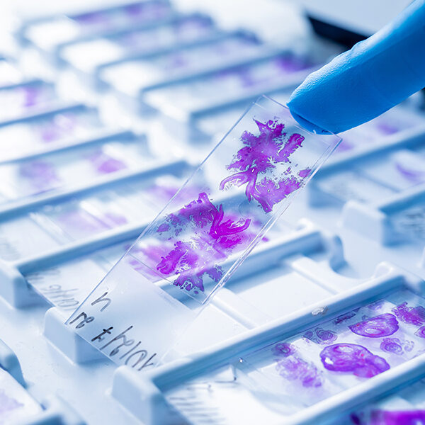 Clinical-histopathology-Service